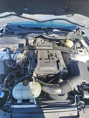 2021 Ford Mustang EcoBoost